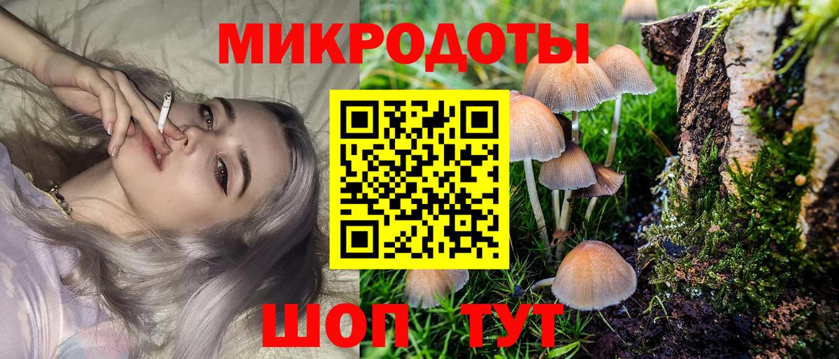 Псилоцибиновые грибы Psilocybine cubensis  Вход с VPN  Шебекино 