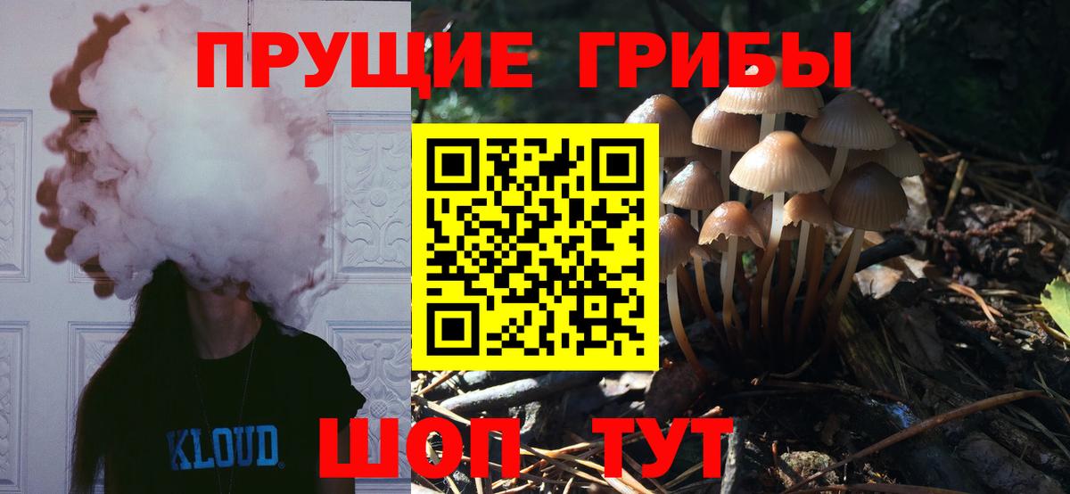 Галлюциногенные грибы MAGIC MUSHROOMS Шебекино